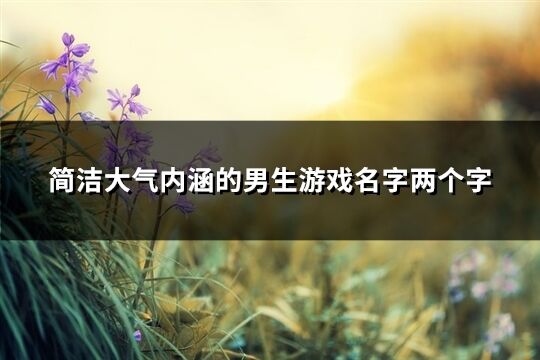 简洁大气内涵的男生游戏名字两个字(精选846个)