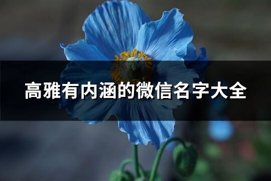 高雅有内涵的微信名字大全(共626个)