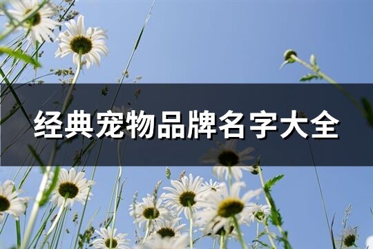 经典宠物品牌名字大全(共494个)