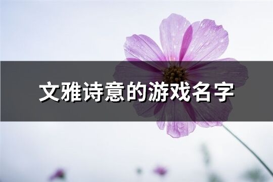 文雅诗意的游戏名字(341个)