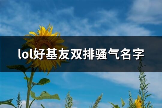 lol好基友双排骚气名字(精选105个)