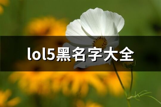 lol5黑名字大全(优选115个)