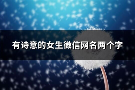 有诗意的女生微信网名两个字(优选325个)