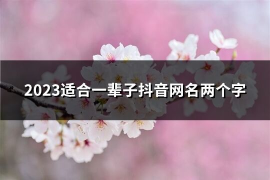 2023适合一辈子抖音网名两个字(1098个)