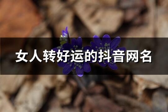 女人转好运的抖音网名(优选212个)