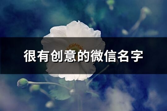 很有创意的微信名字(精选331个)