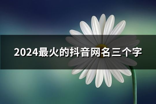 2024最火的抖音网名三个字(251个)