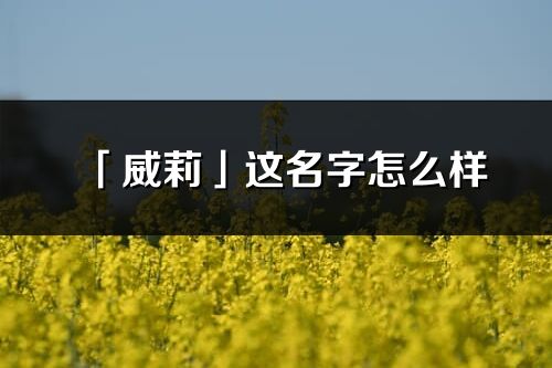 「威莉」这名字怎么样_威莉的名字解释