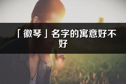 「徽琴」名字的寓意好不好_徽琴含义分析