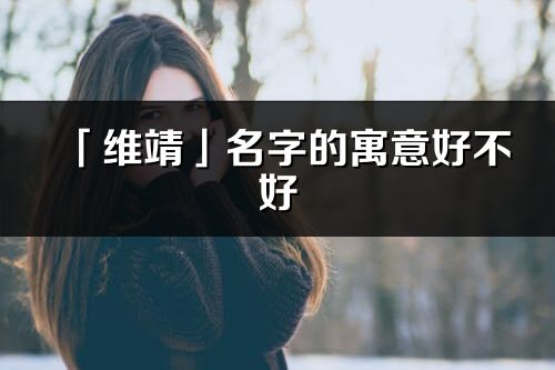 「维靖」名字的寓意好不好_维靖含义分析