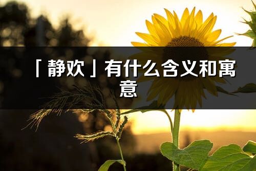 「静欢」有什么含义和寓意_静欢名字的出处与意思