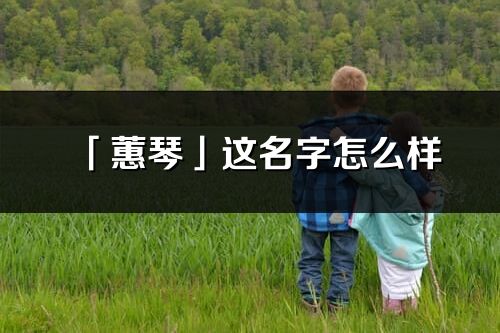 「蕙琴」这名字怎么样_蕙琴的名字解释