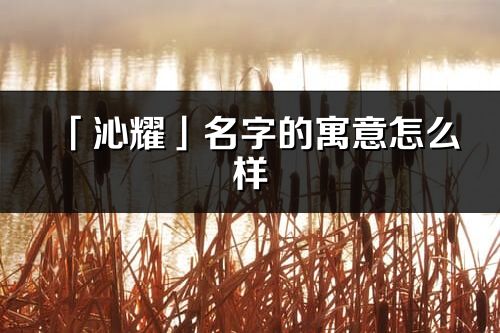 「沁耀」名字的寓意怎么样_沁耀的出处