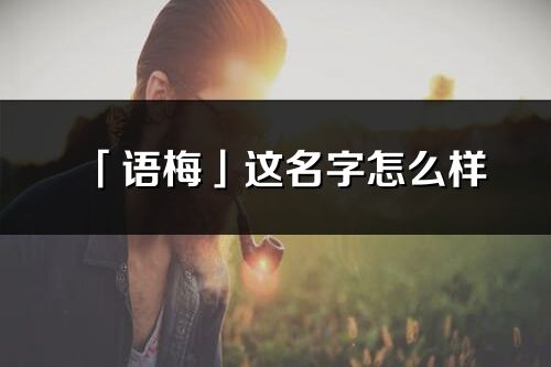 「语梅」这名字怎么样_语梅的名字解释