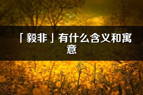 「毅非」有什么含义和寓意_毅非名字的出处与意思