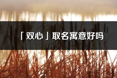 「双心」取名寓意好吗_双心名字含义及五行