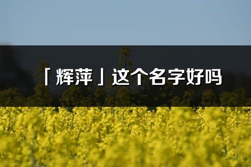 「辉萍」这个名字好吗_辉萍名字寓意,含义