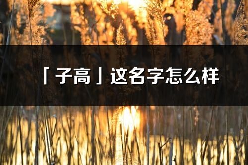 「子高」这名字怎么样_子高的名字解释