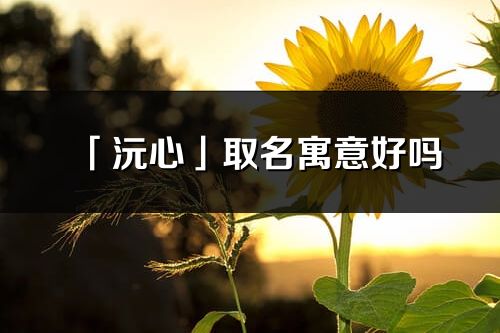 「沅心」取名寓意好吗_沅心名字含义及五行