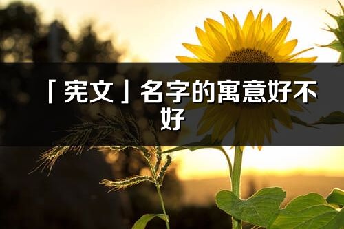 「宪文」名字的寓意好不好_宪文含义分析