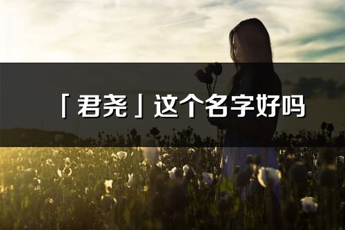 「君尧」这个名字好吗_君尧名字寓意,含义