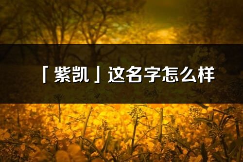 「紫凯」这名字怎么样_紫凯的名字解释