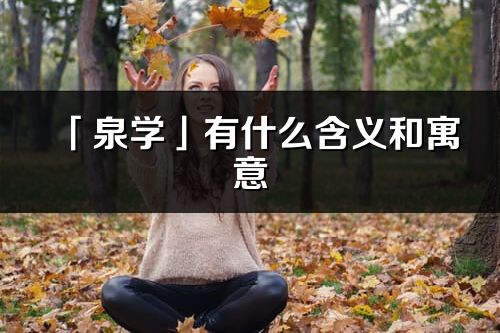 「泉学」有什么含义和寓意_泉学名字的出处与意思