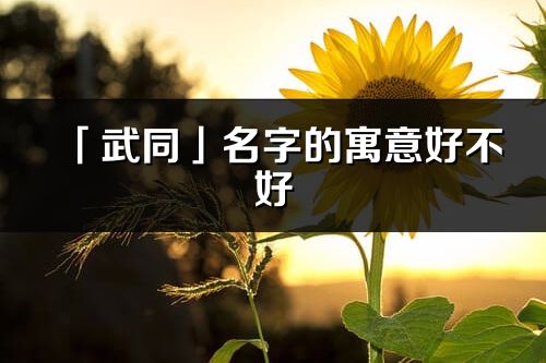 「武同」名字的寓意好不好_武同含义分析