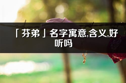 「芬弟」名字寓意,含义,好听吗_芬弟名字分析打分