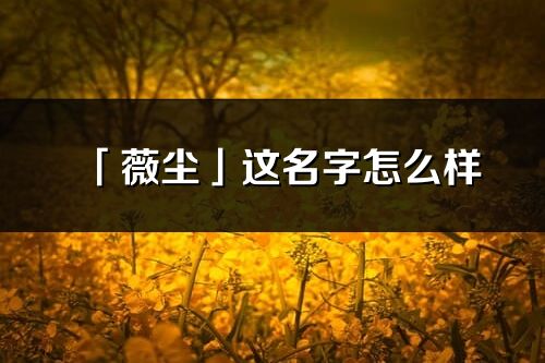 「薇尘」这名字怎么样_薇尘的名字解释