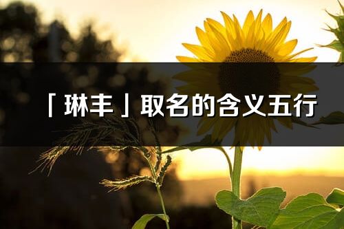 「琳丰」取名的含义五行_琳丰名字寓意解释