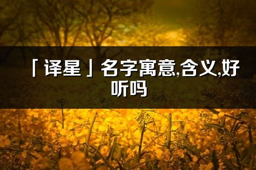 「译星」名字寓意,含义,好听吗_译星名字分析打分