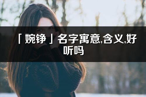 「婉铮」名字寓意,含义,好听吗_婉铮名字分析打分