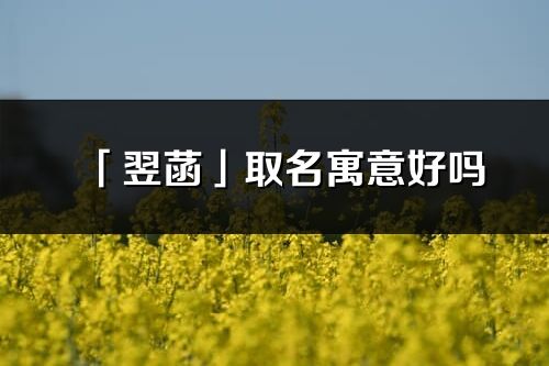 「翌菡」取名寓意好吗_翌菡名字含义及五行