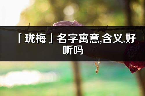 「珑梅」名字寓意,含义,好听吗_珑梅名字分析打分