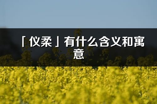 「仪柔」有什么含义和寓意_仪柔名字的出处与意思