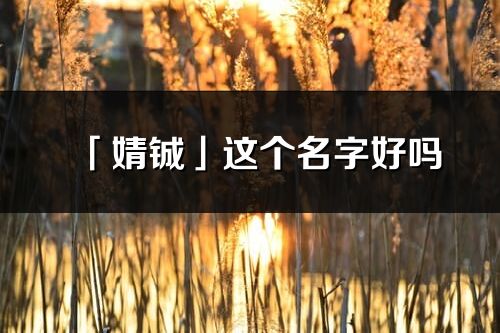 「婧铖」这个名字好吗_婧铖名字寓意,含义