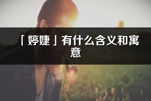 「婷婕」有什么含义和寓意_婷婕名字的出处与意思