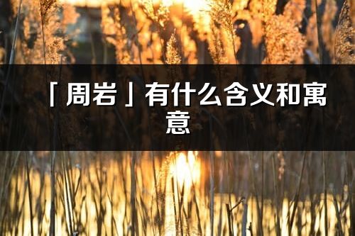 「周岩」有什么含义和寓意_周岩名字的出处与意思