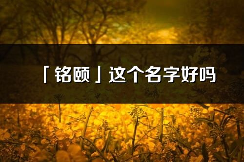 「铭颐」这个名字好吗_铭颐名字寓意,含义