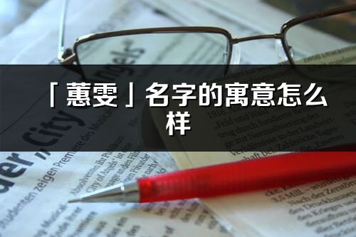 「蕙雯」名字的寓意怎么样_蕙雯的出处