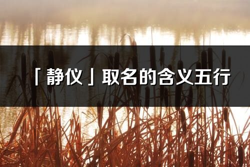 「静仪」取名的含义五行_静仪名字寓意解释