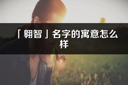 「翱智」名字的寓意怎么样_翱智的出处