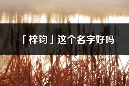 「梓钧」这个名字好吗_梓钧名字寓意,含义