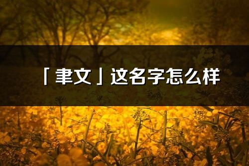 「聿文」这名字怎么样_聿文的名字解释