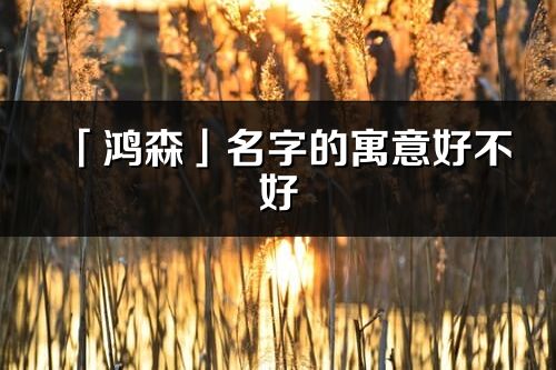 「鸿森」名字的寓意好不好_鸿森含义分析