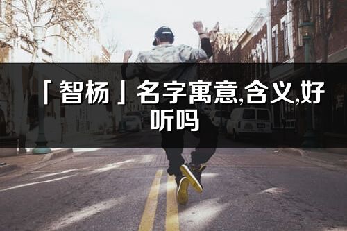 「智杨」名字寓意,含义,好听吗_智杨名字分析打分