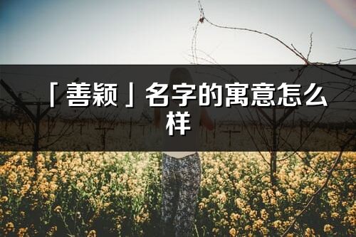 「善颖」名字的寓意怎么样_善颖的出处