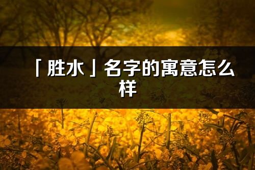 「胜水」名字的寓意怎么样_胜水的出处