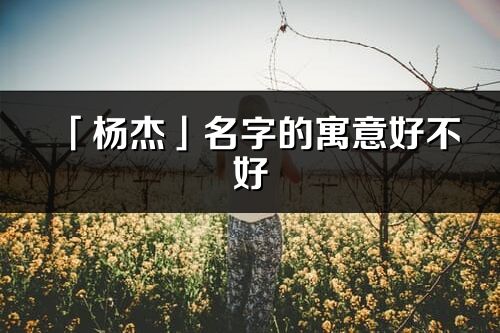 「杨杰」名字的寓意好不好_杨杰含义分析